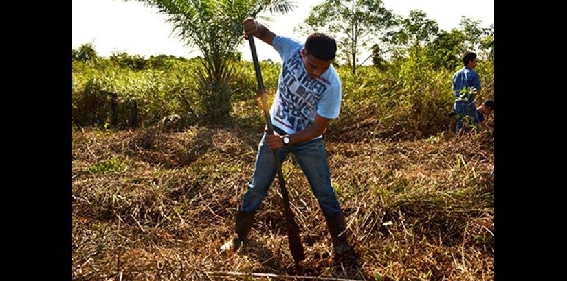  FOR A GOOD CAUSE: UCSI University's Engineering students in the midst of digging holes to plant their saplings at the Raja Musa Forest Reserve.